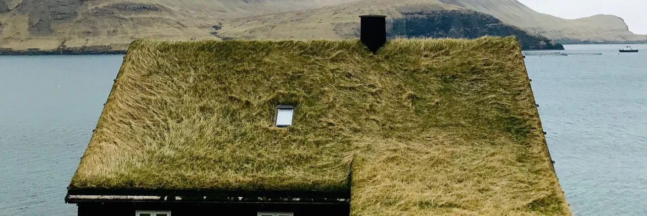 Zelená střecha na plechové střeše